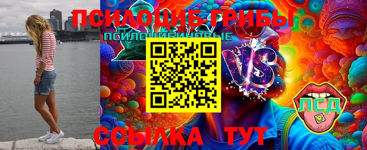 Галлюциногенные грибы мицелий Аксай