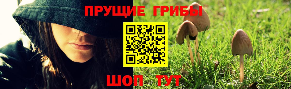 Аксай  Галлюциногенные грибы прущие грибы  Псилоцибиновые грибы GOLDEN TEACHER  Вход с VPN 